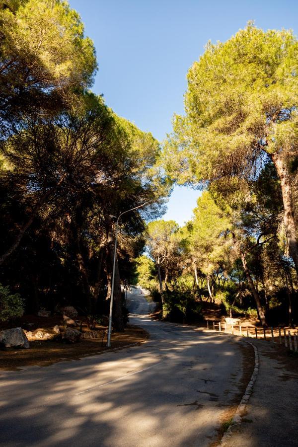 Open View Pinetree Penthouse Apartment Campoamor Bagian luar foto
