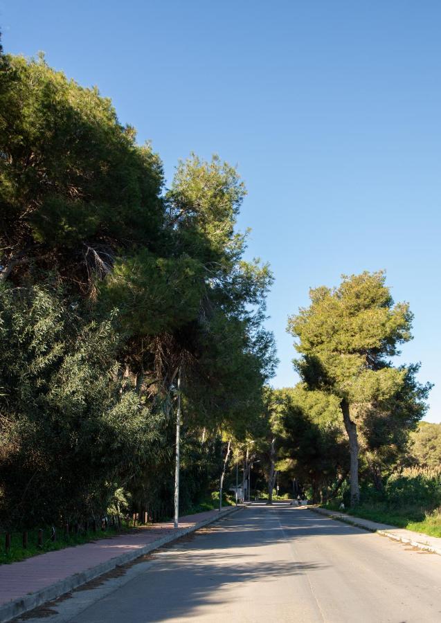 Open View Pinetree Penthouse Apartment Campoamor Bagian luar foto